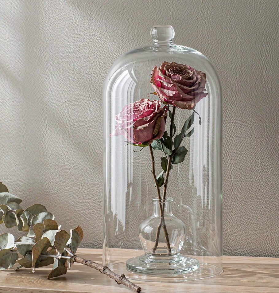 Two preserved blush roses under a clear glass cloche dome on a wooden base.